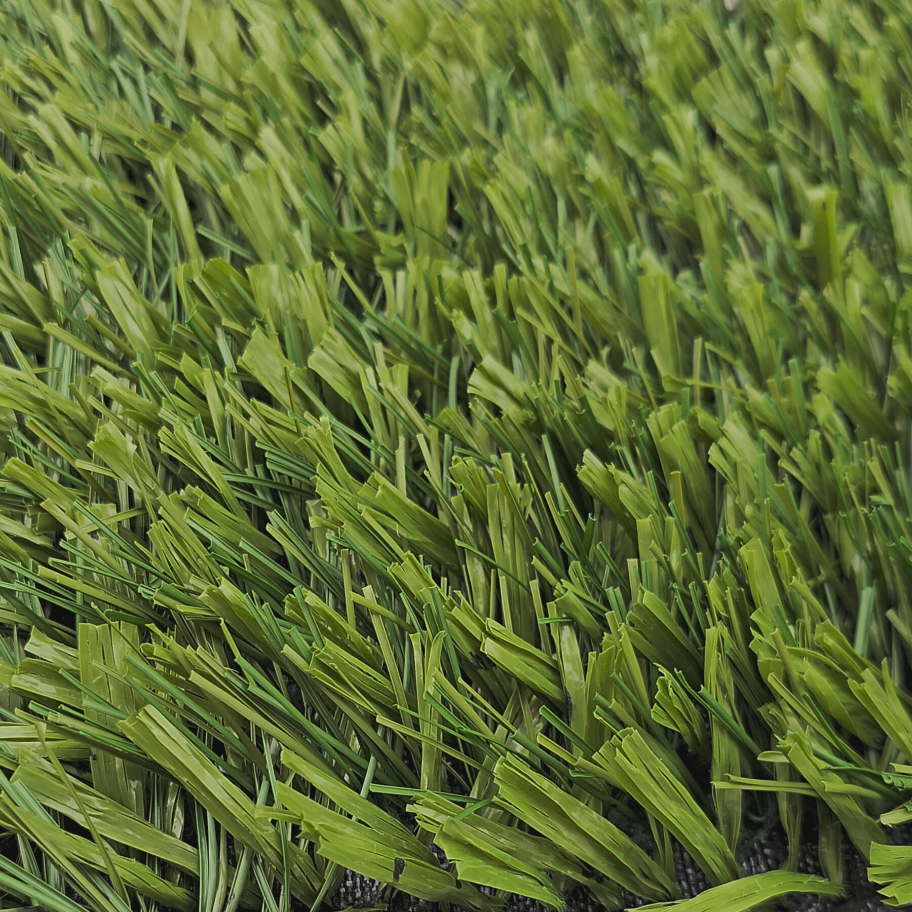 Easigrass - 35mm
